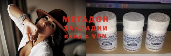 прущие грибы Волоколамск