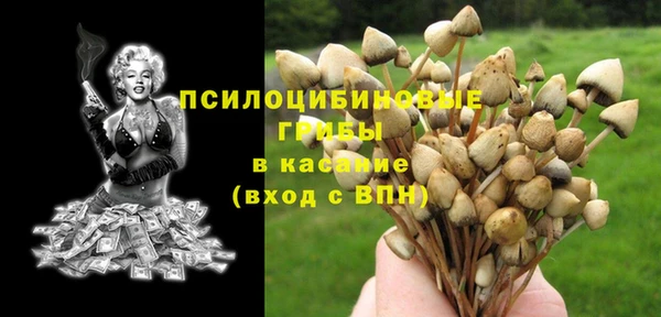 прущие грибы Волоколамск