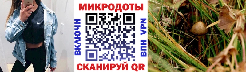даркнет сайт  Старый Оскол  Псилоцибиновые грибы мицелий 